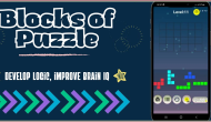 Blocks of Puzzle