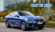 BMW X6 M50i Puzzle